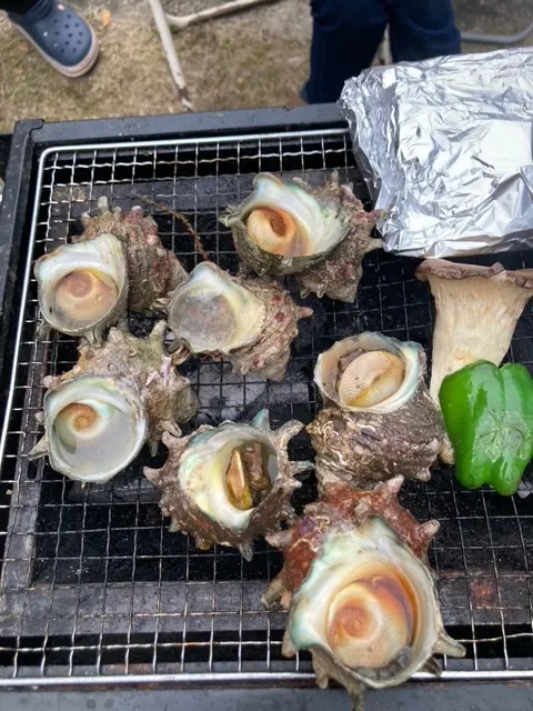 サザエも焼いちゃう