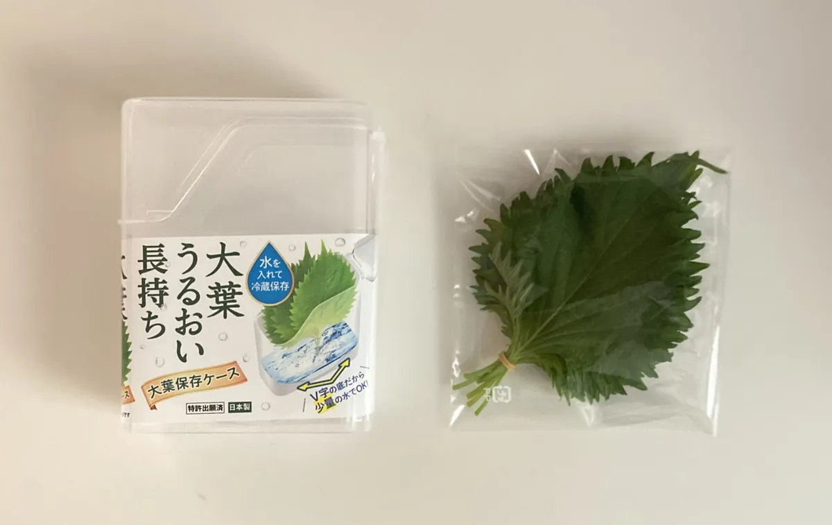 ダイソー大葉保存ケース