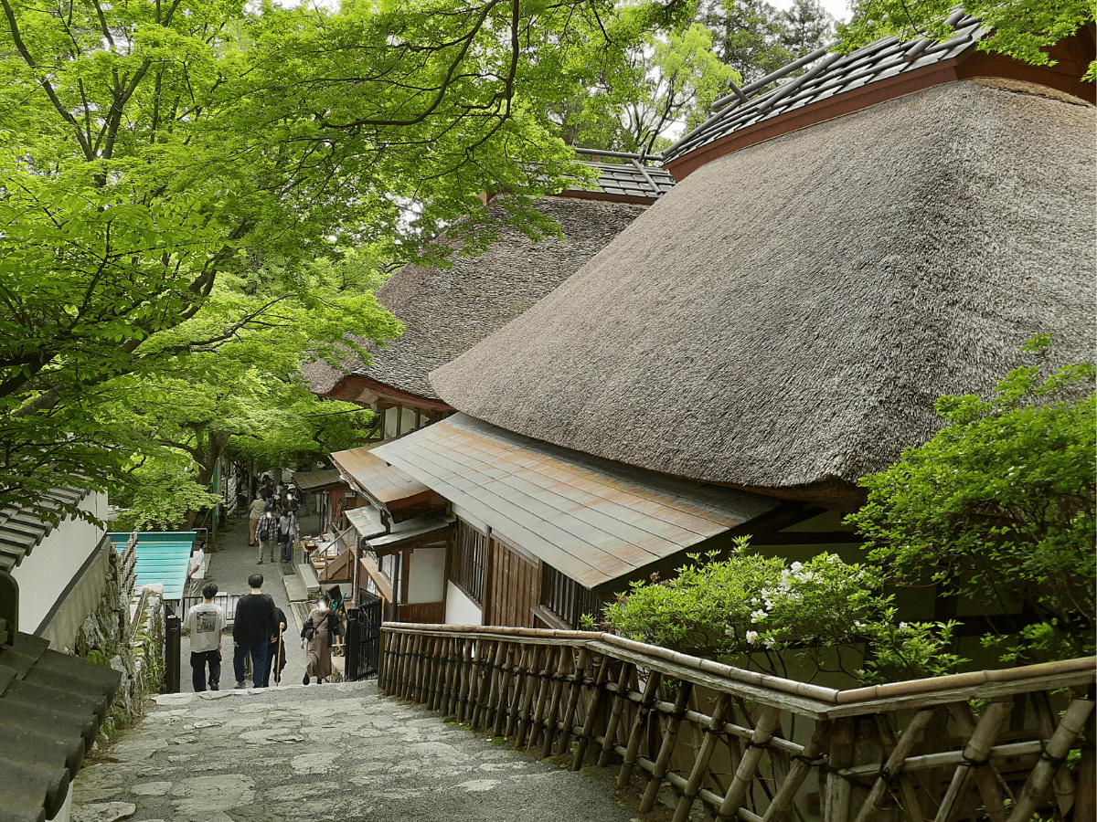 本堂の横を通って裏山へ…。