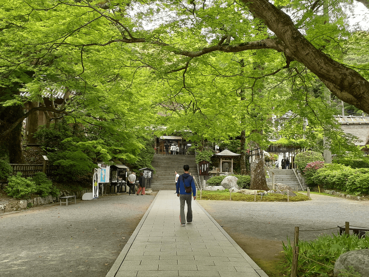 緑に癒されます。