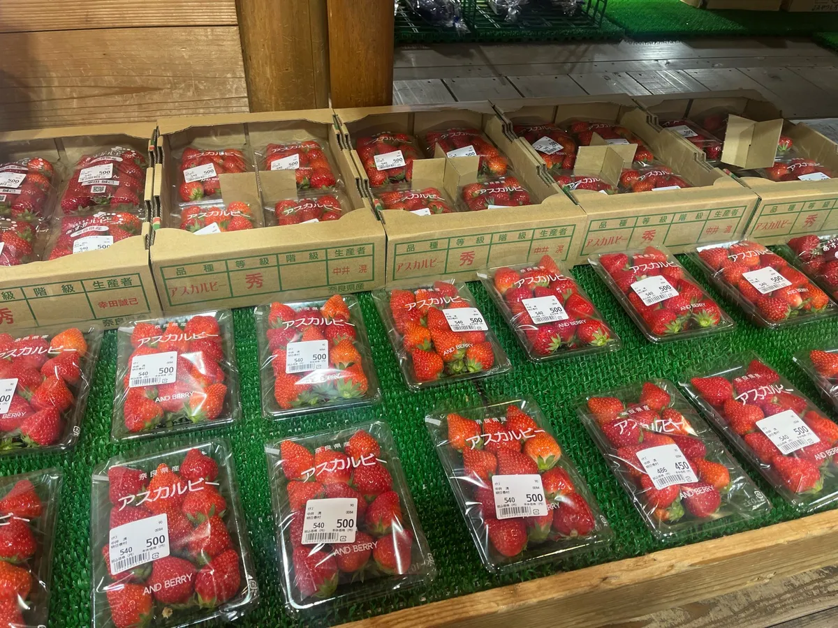 アスカルビーという品種。奈良県といえばアスカルビー!といえる代表いちごだとか