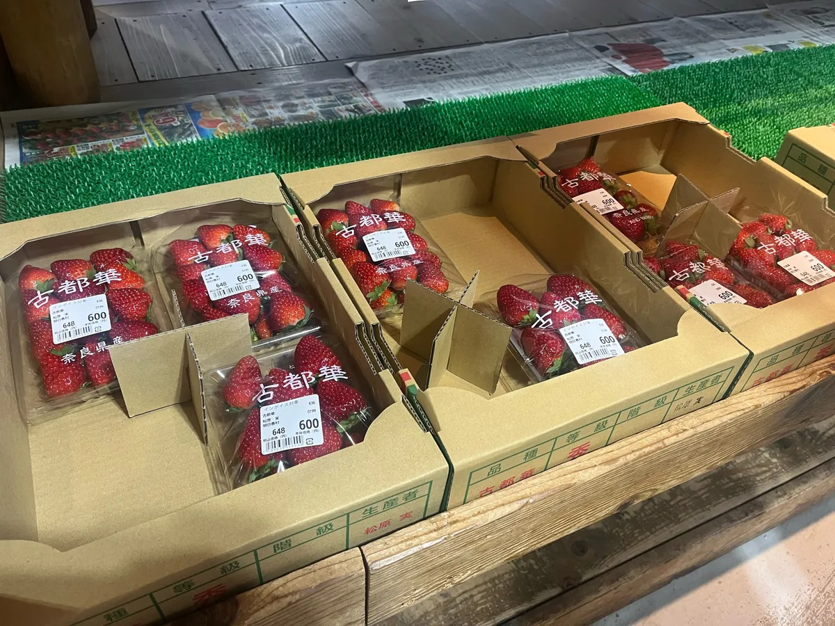 古都華という品種。高級ブランド(⁉)だそう