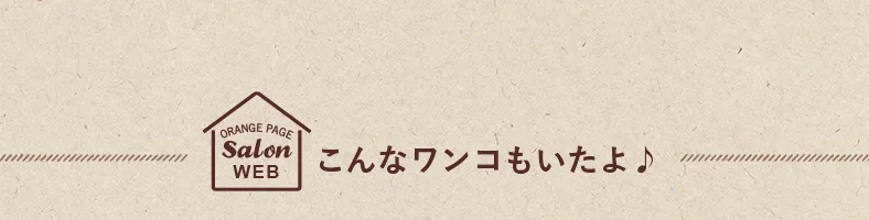 こんなワンコもいたよ