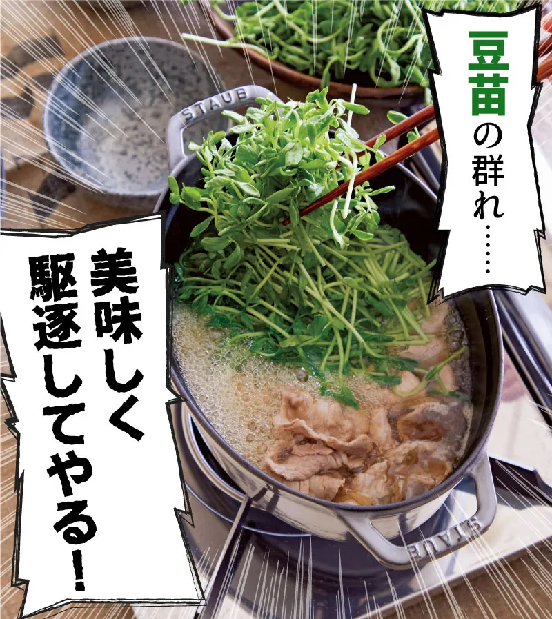 【豆苗まみれしょうゆ鍋】豆苗の群れ…美味しく駆逐してやる!
