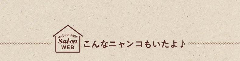 こんなニャンコもいたよ