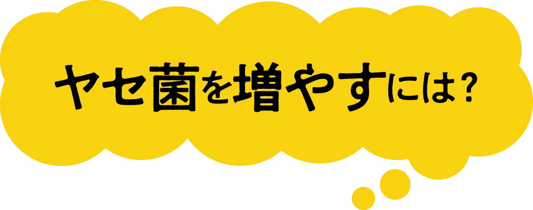 ヤセ菌を増やすには?