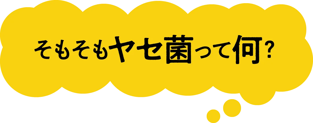 そもそもヤセ菌って何?