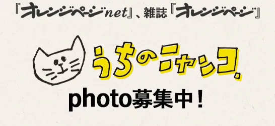 うちのニャンコ。photo募集中