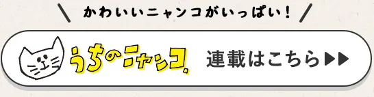 うちのニャンコ。連載はこちら>>