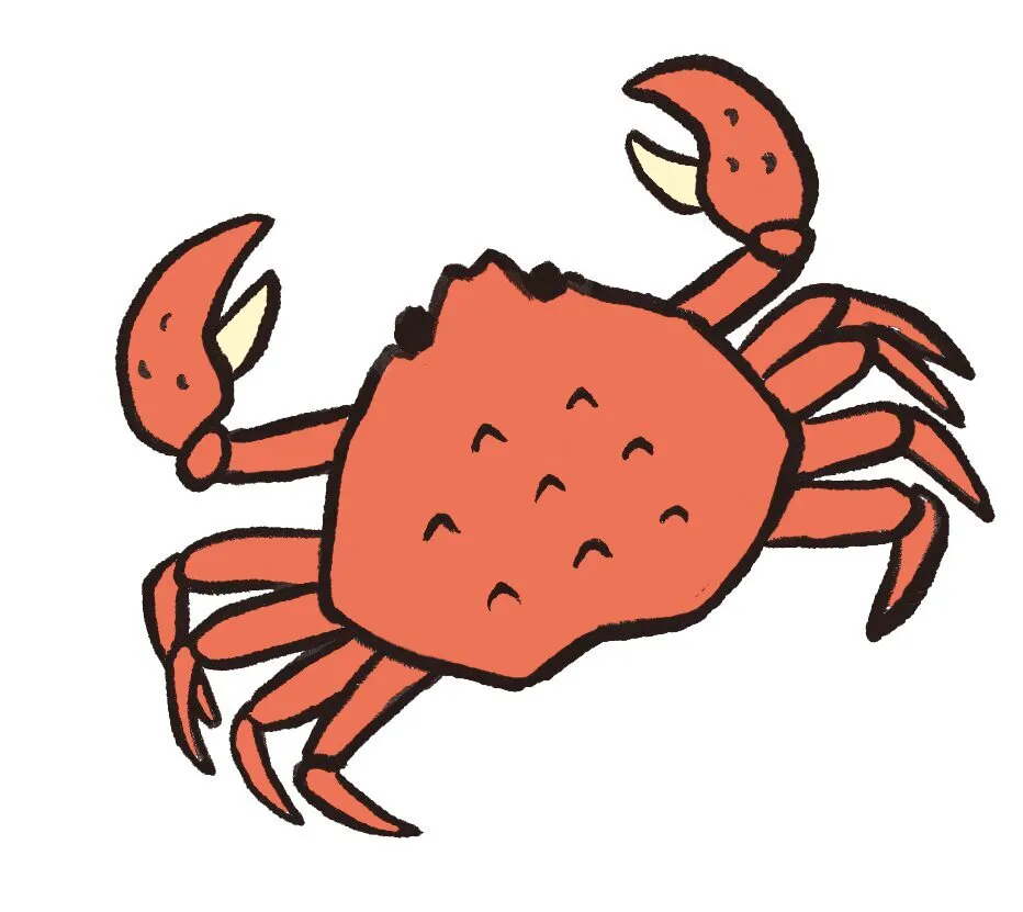 ゆでると鮮やかな赤い色になるカニのイラスト