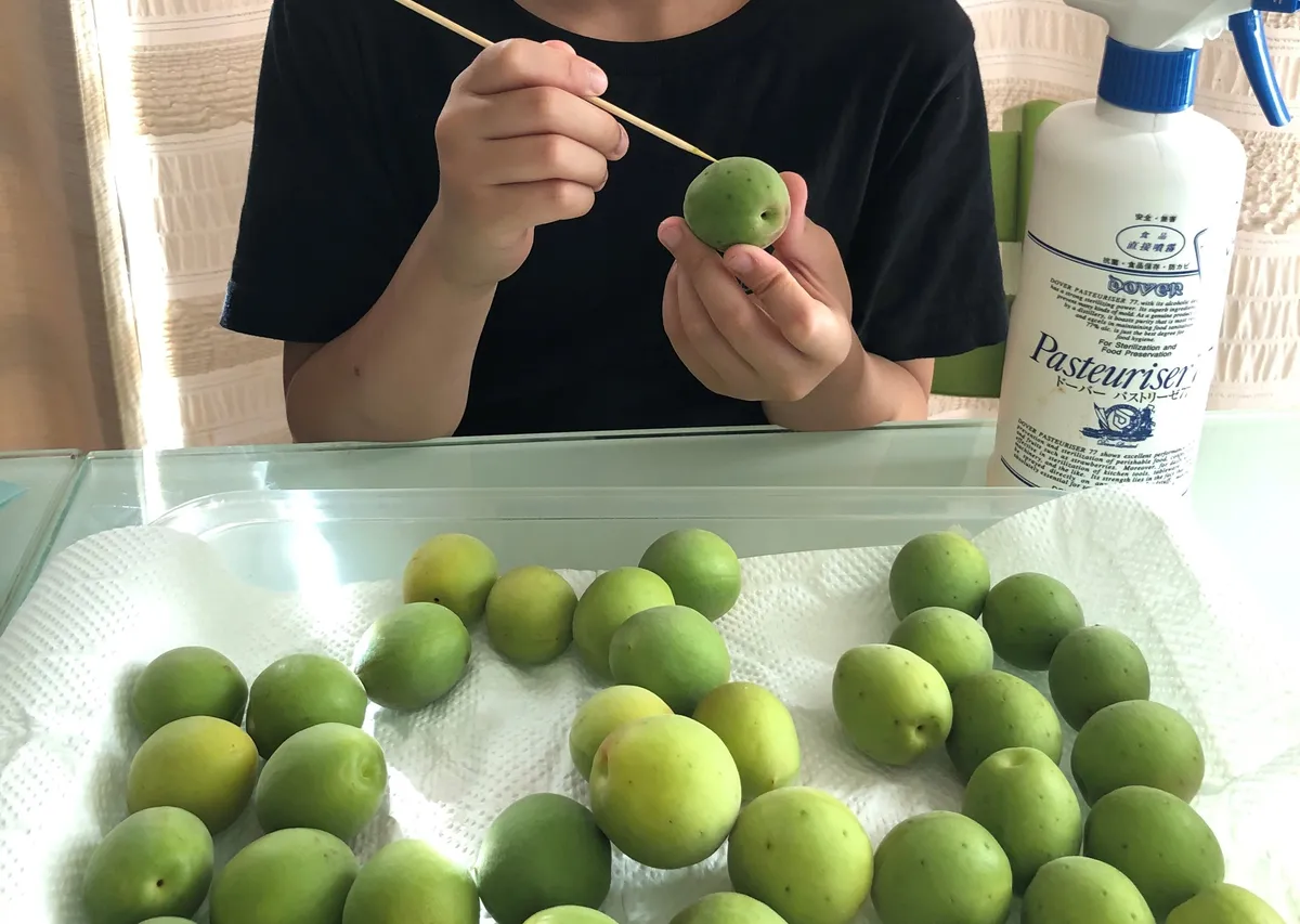 梅仕事