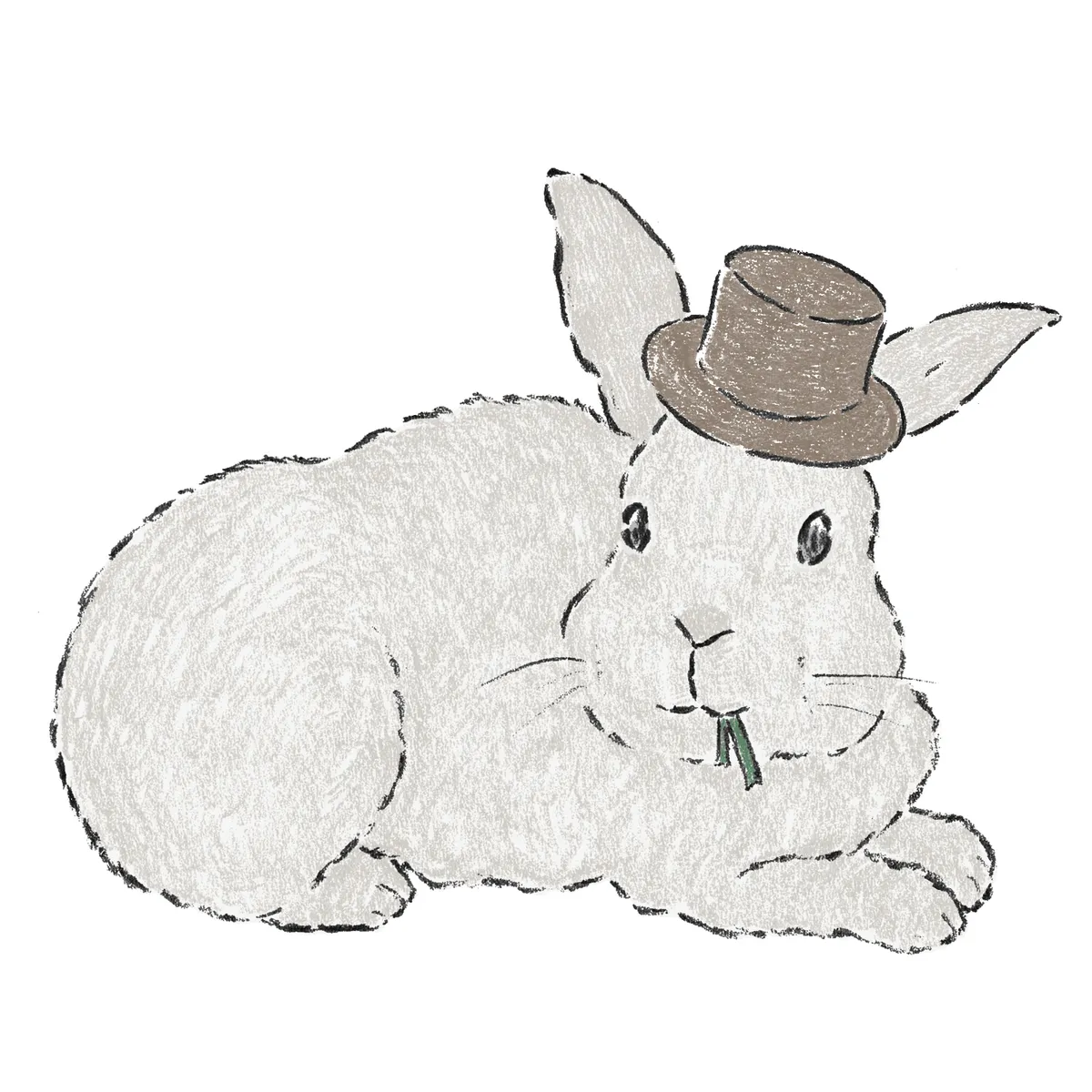 フレミッシュジャイアント