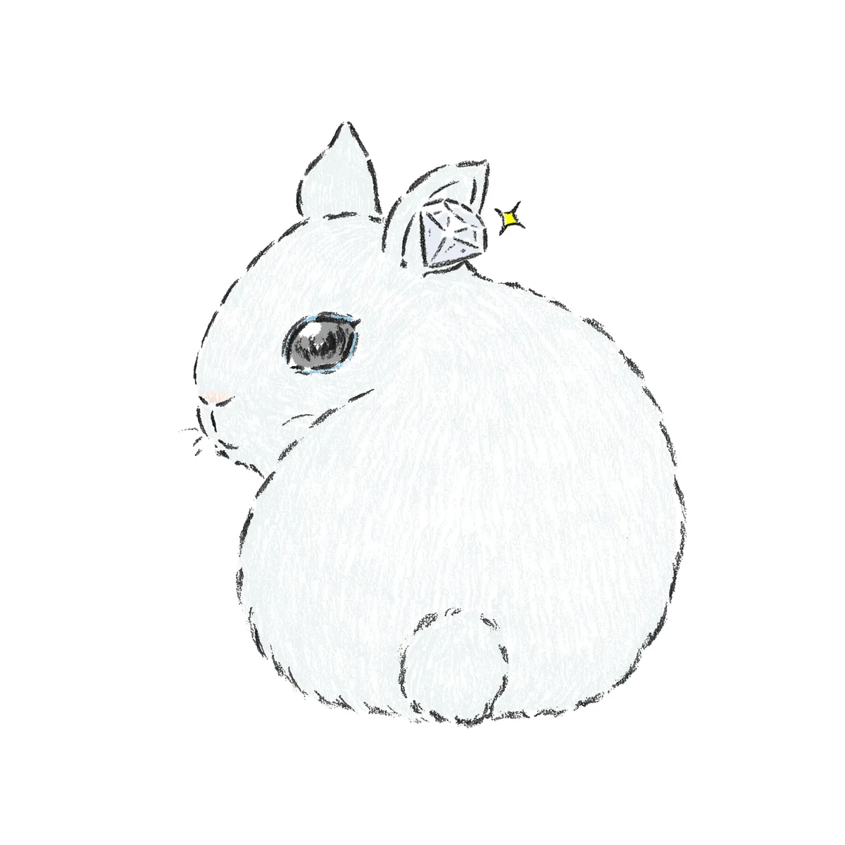 ホトうさぎ