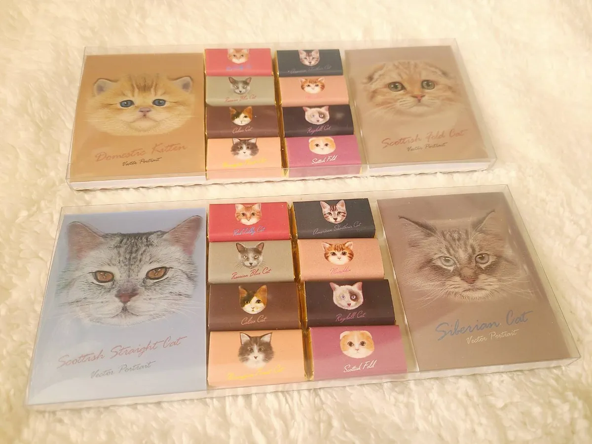 キャットメモパットチョコレート40g(写真は2セット)。