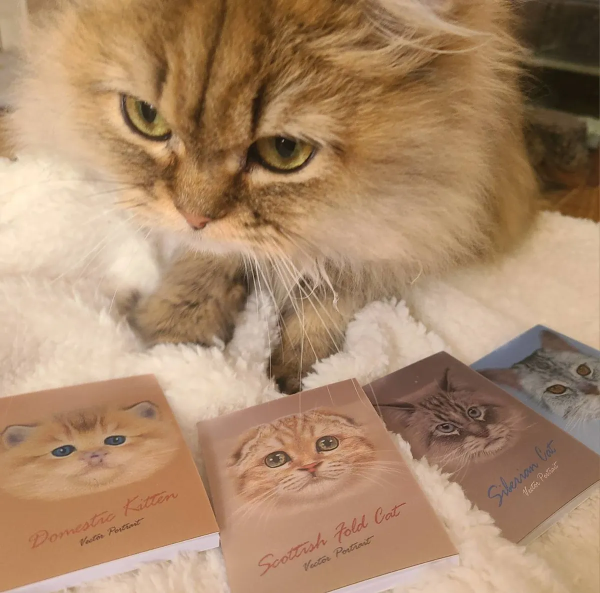 奇跡のコラボ、メモ帳の猫とリアル猫。