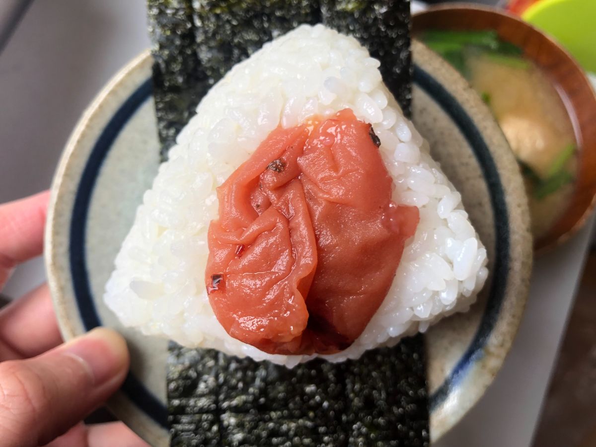 紀州南高梅を使用！定番の梅おにぎり| おいしいもの発見